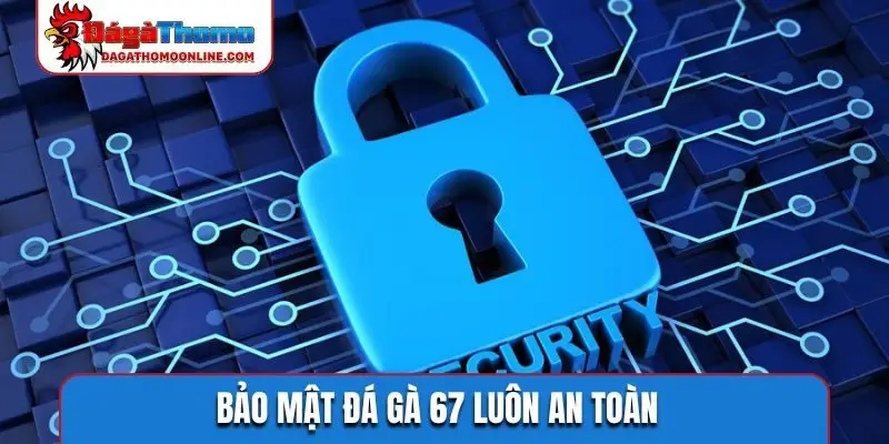 Bảo mật đá gà 67 luôn an toàn