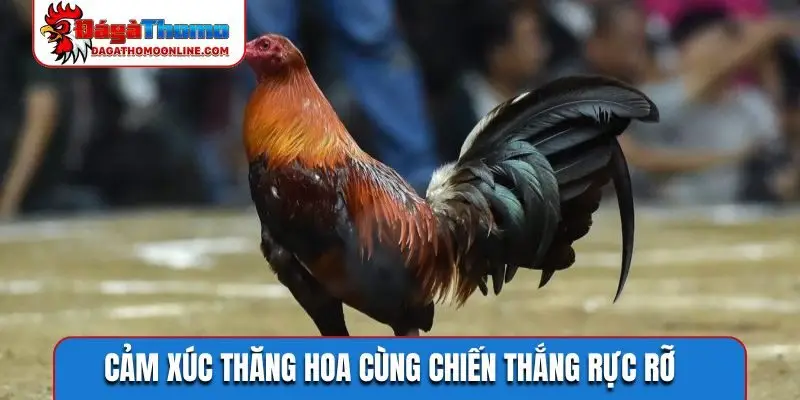 Cảm xúc thăng hoa cùng chiến thắng rực rỡ