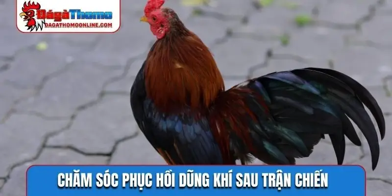 Chăm sóc phục hồi dũng khí sau trận chiến