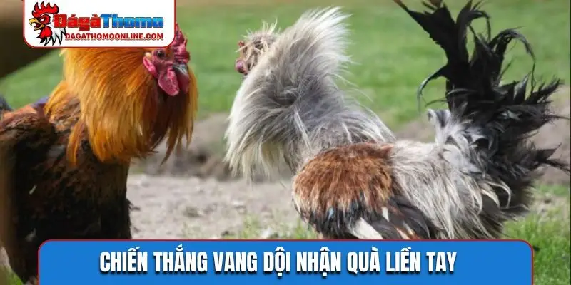 Chiến thắng vang dội nhận quà liền tay