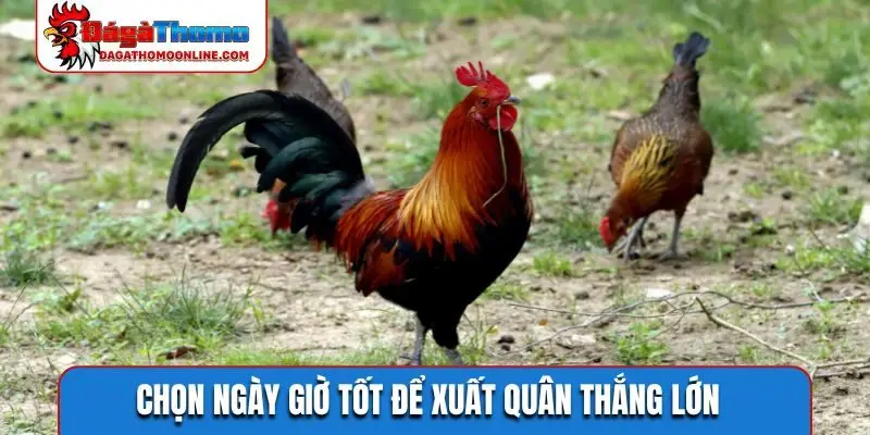 Chọn ngày giờ tốt để xuất quân thắng lớn