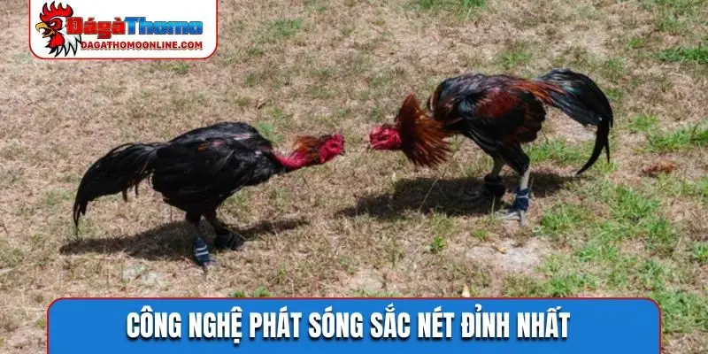 Công nghệ phát sóng sắc nét đỉnh nhất