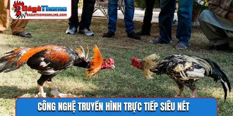 Công nghệ truyền hình trực tiếp siêu nét