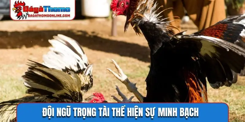 Đội ngũ trọng tài thể hiện sự minh bạch