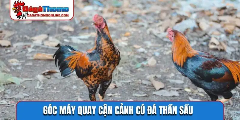 Góc máy quay cận cảnh cú đá thần sầu