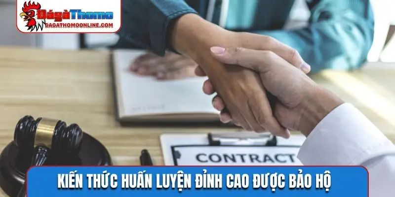 Kiến thức huấn luyện đỉnh cao được bảo hộ