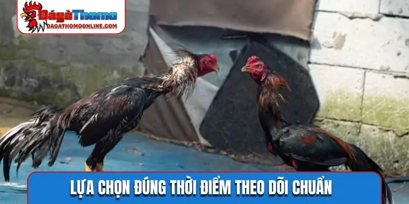 Lựa chọn đúng thời điểm theo dõi chuẩn