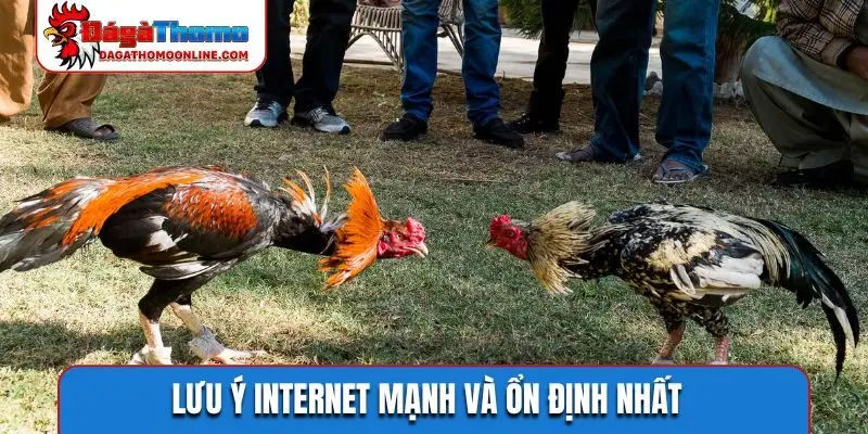 Lưu ý internet mạnh và ổn định nhất
