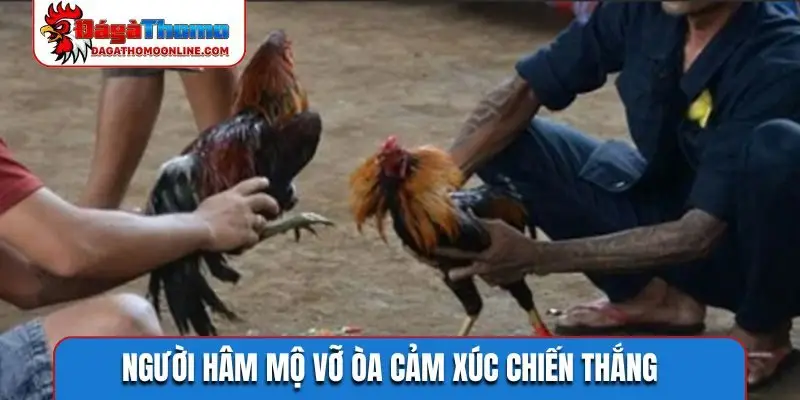 Người hâm mộ vỡ òa cảm xúc chiến thắng