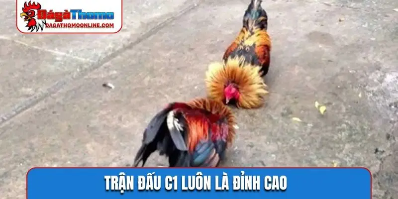 Trận đấu C1 luôn là đỉnh cao