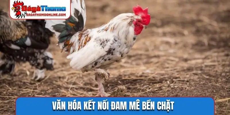 Văn hóa kết nối đam mê bền chặt