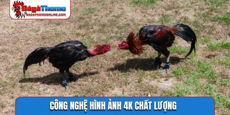 Công nghệ hình ảnh 4K chất lượng