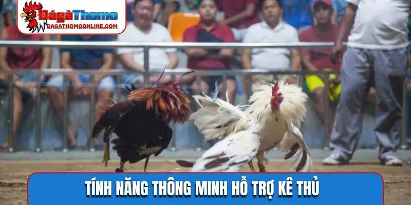 Tính năng thông minh hỗ trợ kê thủ
